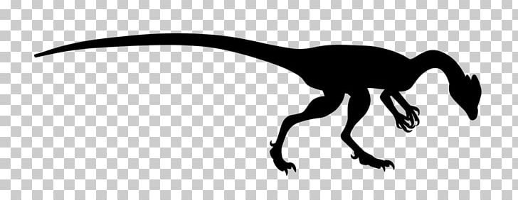 Velociraptor Silhouette Black White PNG, Clipart, Beak, Black, Black And White, Dilophosaurus, Dinosaur Free PNG Download