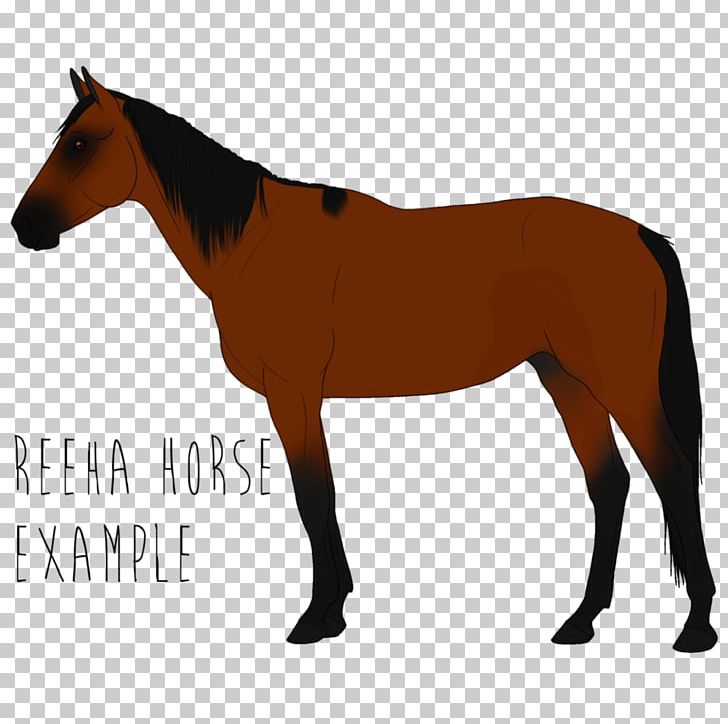 Appaloosa Mustang American Paint Horse American Quarter Horse Arabian Horse PNG, Clipart, American Paint Horse, American Quarter Horse, Appaloosa, Arabian Horse, Black Free PNG Download