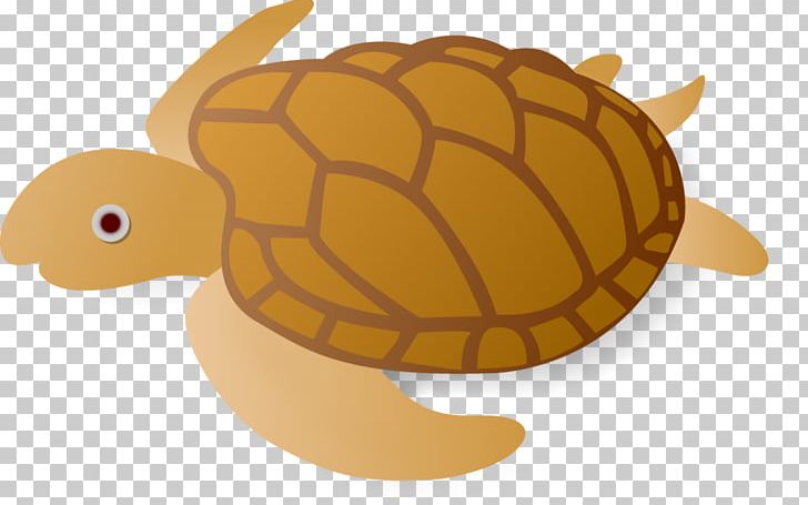 Sea Turtle Tortoise Pond Turtles Cartoon PNG, Clipart, Animals, Cartoon, Emydidae, Fish, Kame Free PNG Download