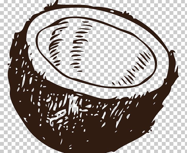 Coconut Water Arecaceae PNG, Clipart, Arecaceae, Black And White, Circle, Coconut, Coconut Water Free PNG Download