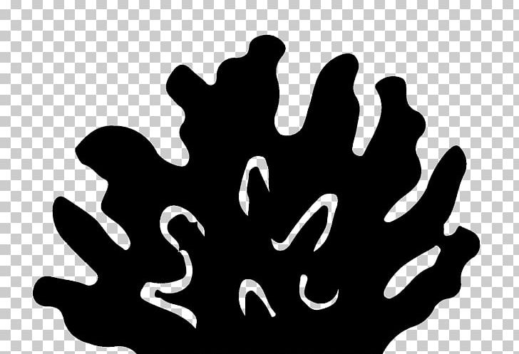 Finger Line Tree White PNG, Clipart, Art, Art Line, Berberis, Black And White, Blossom Free PNG Download