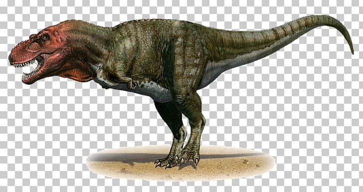 Tyrannosaurus Late Cretaceous Dinosaur Torvosaurus PNG, Clipart, Animal Figure, Bipedalism, Carnivore, Cretaceous, Dinosaur Free PNG Download