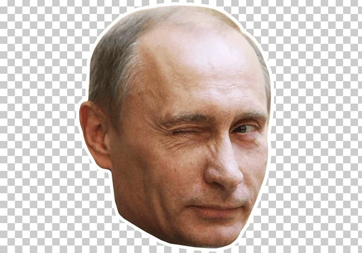 Vladimir Putin United Russia Accession Of Crimea To The Russian Federation President Of Russia PNG, Clipart, Barack Obama, Celebrities, Cheek, Chin, Closeup Free PNG Download