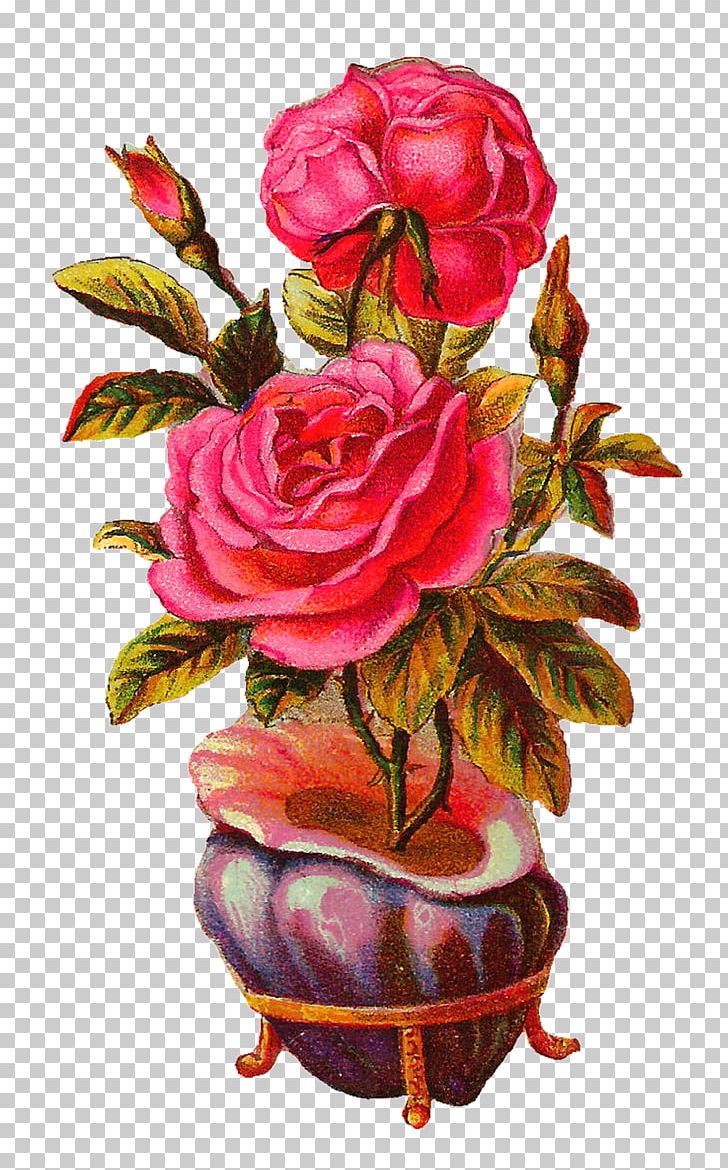 Garden Roses Centifolia Roses Flowerpot Floral Design Vase PNG, Clipart, Artificial Flower, Centifolia Roses, Decoupage, Floral Design, Flower Free PNG Download