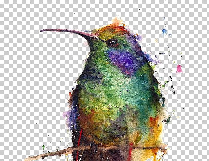 Hummingbird Watercolor Painting Watercolour Flowers Printmaking PNG, Clipart, Animals, Art, Artist, Bird, Bird Cage Free PNG Download