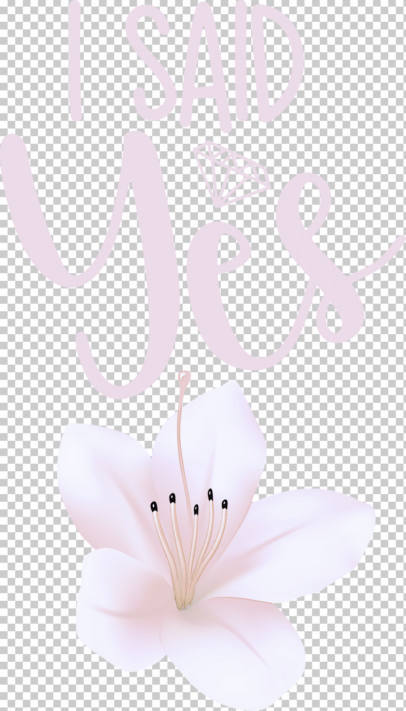 I Said Yes She Said Yes Wedding PNG, Clipart, Floral Design, I Said Yes, Meter, Petal, Pollinator Free PNG Download