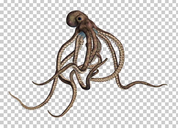 Octopus PNG, Clipart, Akitaclub, Animal, Animals, Cartoon, Catlover Free PNG Download