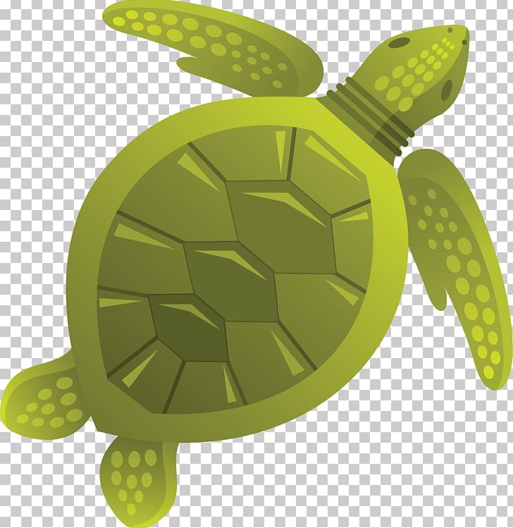 Sea Turtle Tortoise Jellyfish PNG, Clipart, Animal, Animals, Aquatic Animal, Clip Art, Coral Reef Free PNG Download