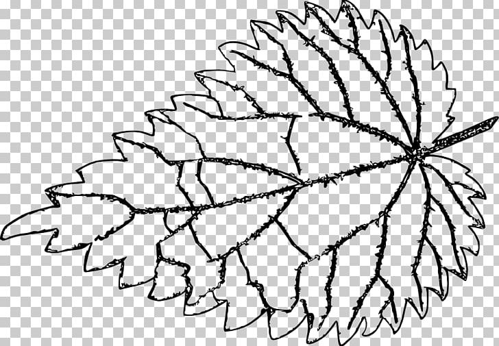 Twig Common Nettle Line Art Leaf Drawing PNG, Clipart, Angle, Area, Artwork, Black And White, Branch Free PNG Download
