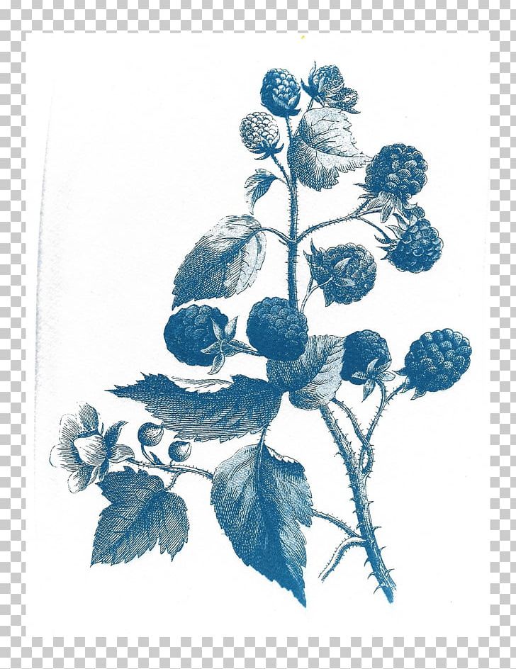 Paper Botanical Illustration Floral Design Drawing Watercolor Painting PNG, Clipart, Artwork, Berry, Blue, Botanical, Botanical Illustration Free PNG Download