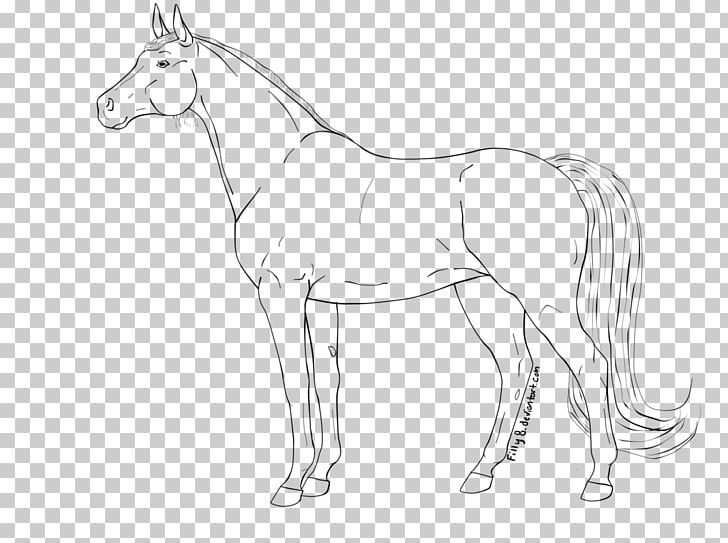 Mare Mustang Foal Stallion Arabian Horse PNG, Clipart, Arabian Horse, Artwork, Black And White, Bridle, Colt Free PNG Download