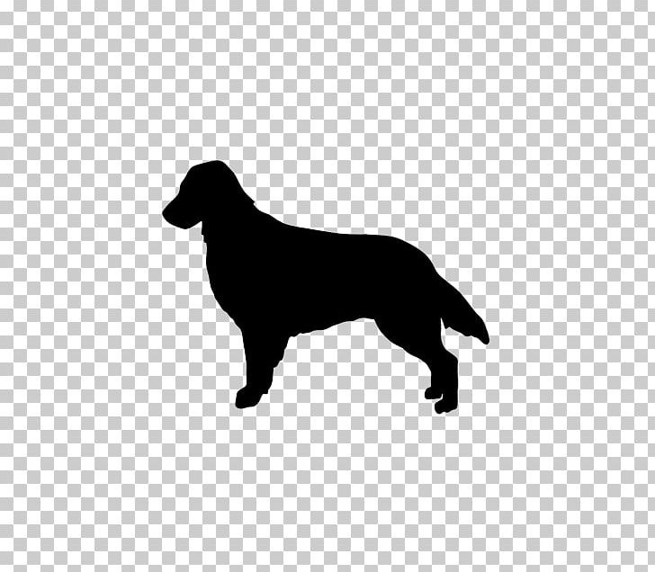 Rottweiler Flat-Coated Retriever Golden Retriever Border Collie Labrador Retriever PNG, Clipart, Black, Black And White, Border Collie, Carnivoran, Coat Free PNG Download