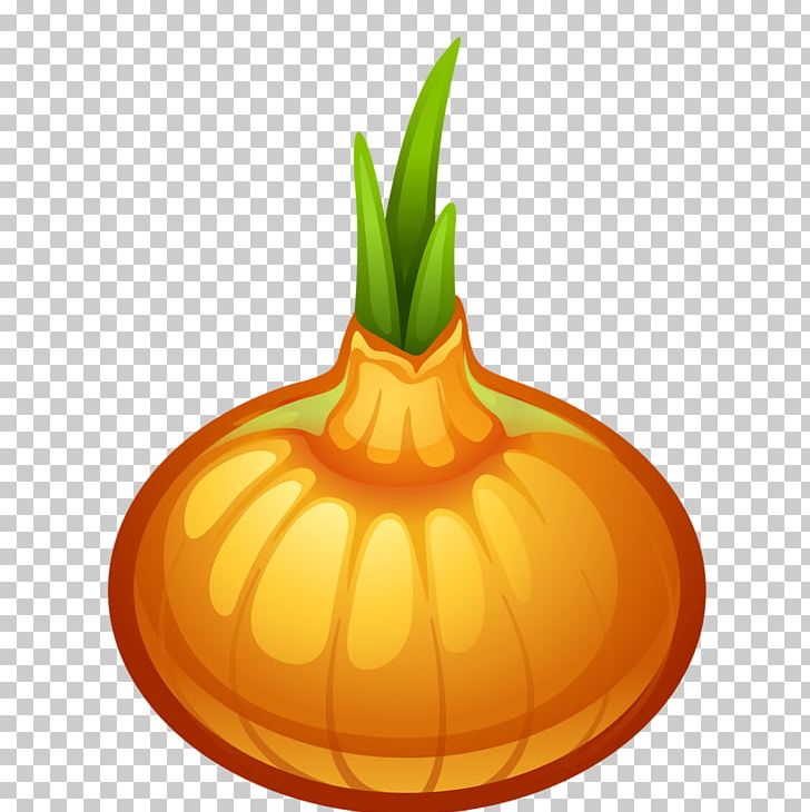Vegetable Onion Garlic Paper Fruit PNG, Clipart, Auglis, Calabaza, Commodity, Cucurbita, Download Free PNG Download