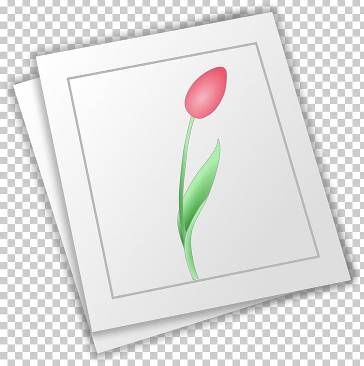 Paper Drawing Flower PNG, Clipart, Computer Icons, Crazy Mike Wichita, Drawing, Flower, Flowering Plant Free PNG Download
