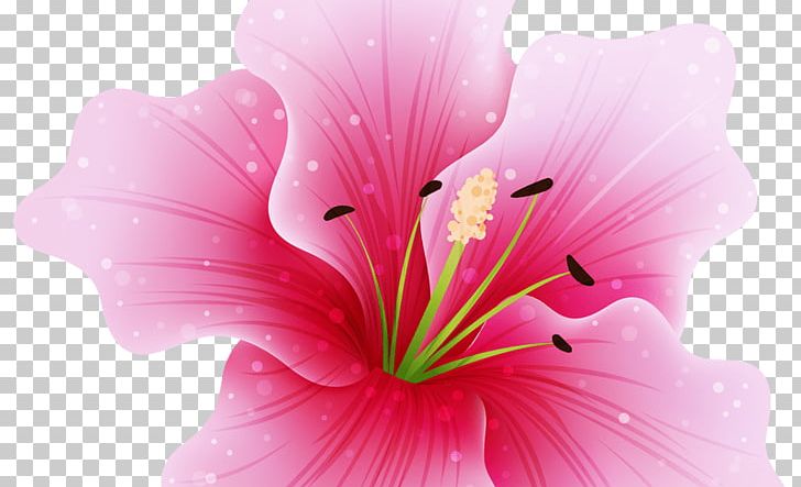 Pink Flowers PNG, Clipart, Art, Blossom, Closeup, Color, Desktop Wallpaper Free PNG Download