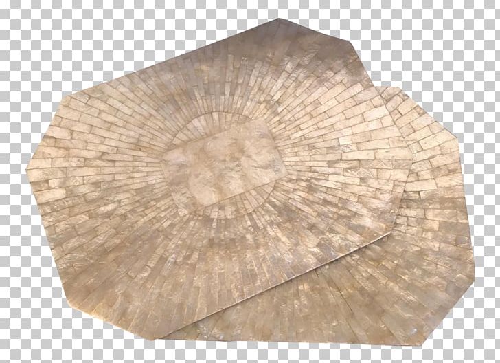Wood /m/083vt PNG, Clipart, Animals, M083vt, Nature, Seashell, Wood Free PNG Download