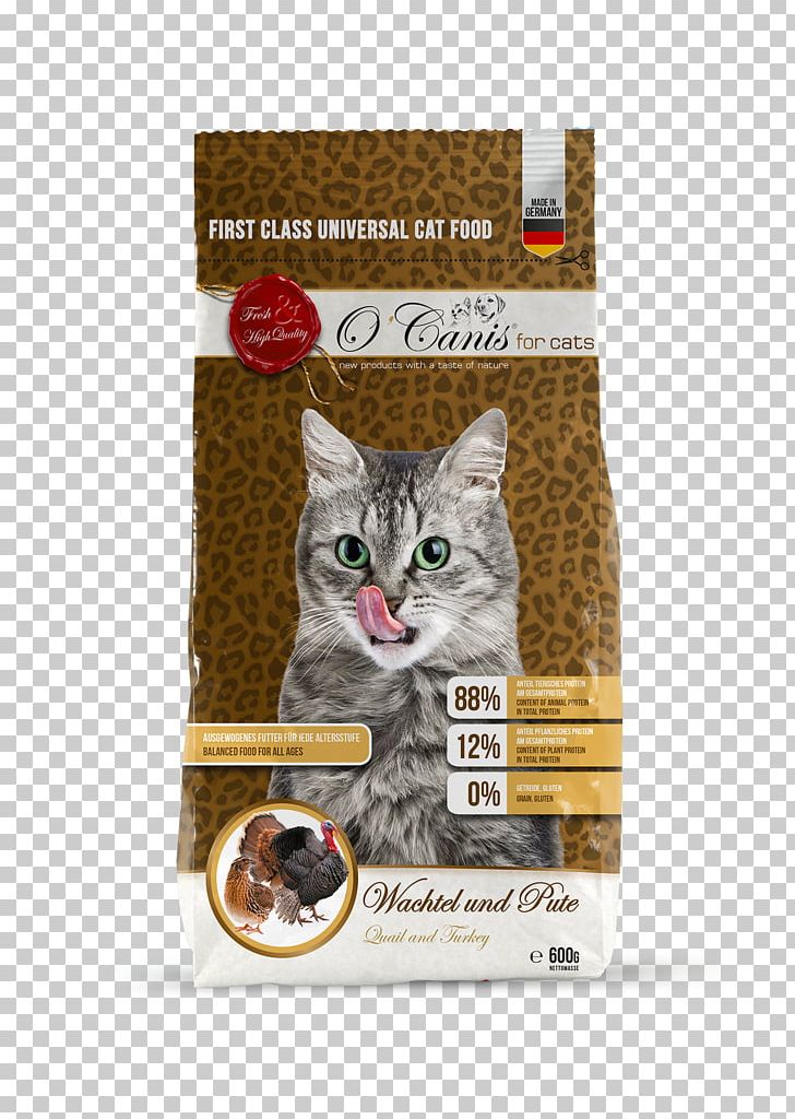 Cat Food Whiskers Kitten Ocanis Deutschland GmbH PNG, Clipart, Animal, Animals, Cat, Cat Food, Cat Like Mammal Free PNG Download
