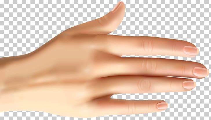 Nail Hand Model Manicure Thumb PNG, Clipart, Clipart, Clip Art, Finger, Hand, Hand Model Free PNG Download