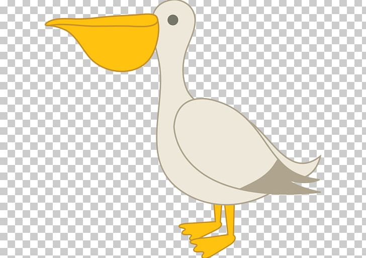 Pelican Bird Free Content PNG, Clipart, Beak, Bird, Cartoon, Chicken, Drawing Free PNG Download