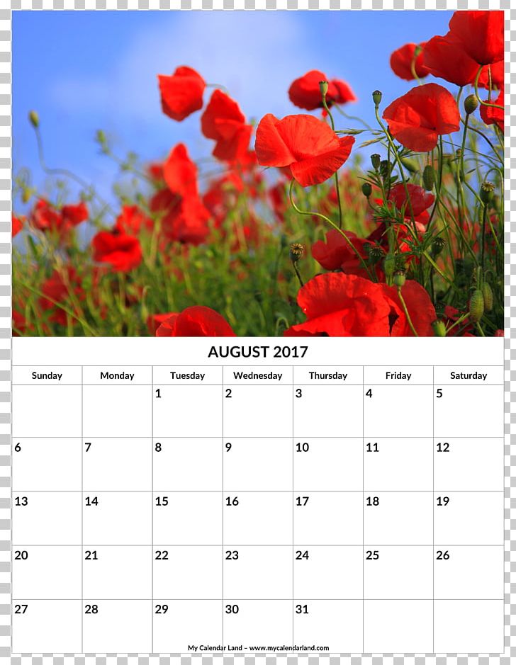 Poppy Calendar Nature 0 1 PNG, Clipart, 2016, 2017, 2018, August, Calendar Free PNG Download