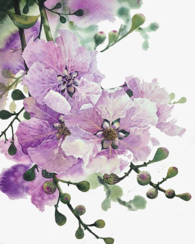 Purple Flowers PNG, Clipart, Bud, Flowers, Green, Green Leaves, Leaves Free PNG Download