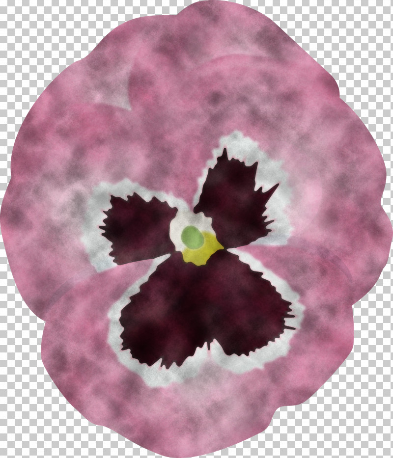 PANSY Spring Flower PNG, Clipart, Cattleya, Flower, Iris, Magenta, Morning Glory Free PNG Download