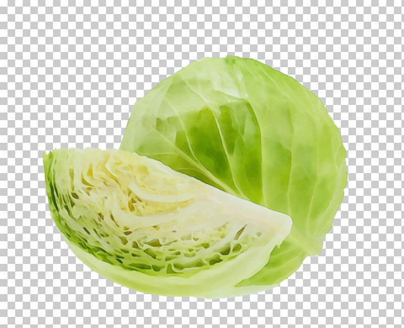 Cabbage Lettuce Vegetable Collard Romaine Lettuce PNG, Clipart,  Free PNG Download