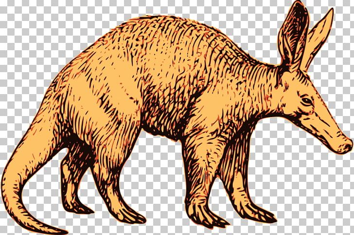 Aardvark Anteater PNG, Clipart, Aardvark, Animal Figure, Anteater, Carnivoran, Dog Like Mammal Free PNG Download