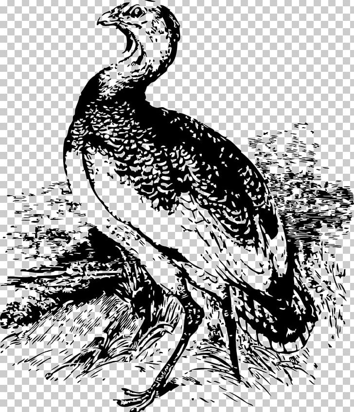 Bird Of Prey Great Bustard PNG, Clipart, Animals, Art, Beak, Big Bird, Bird Free PNG Download