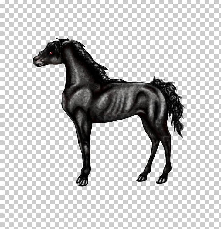 Mare Stallion Foal Pony Donkey PNG, Clipart, Animal, Animals, Black And White, Black Beauty, Bridle Free PNG Download