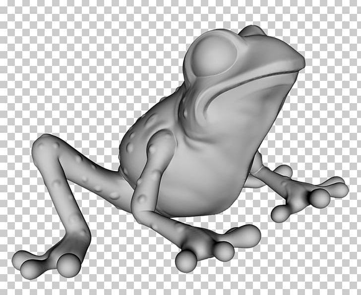Tree Frog Toad True Frog PNG, Clipart, Amphibian, Animals, Balta, Black And White, Cartoon Free PNG Download