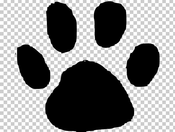 Animal Track Footprint Dog PNG, Clipart, Animal, Animals, Animal Track, Bear, Black Free PNG Download