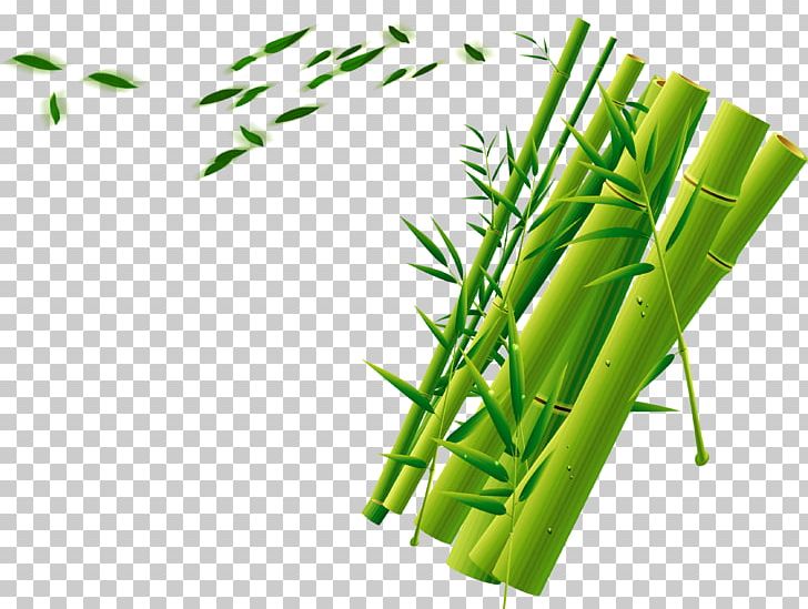 Bamboo Green PNG, Clipart, Angle, Background, Background Green, Bamboe, Bamboo Free PNG Download