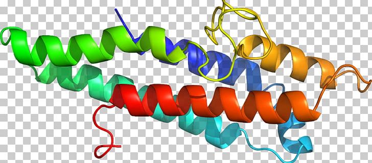 Line PNG, Clipart, Art, Line, Text, Transferrin Receptor Free PNG Download