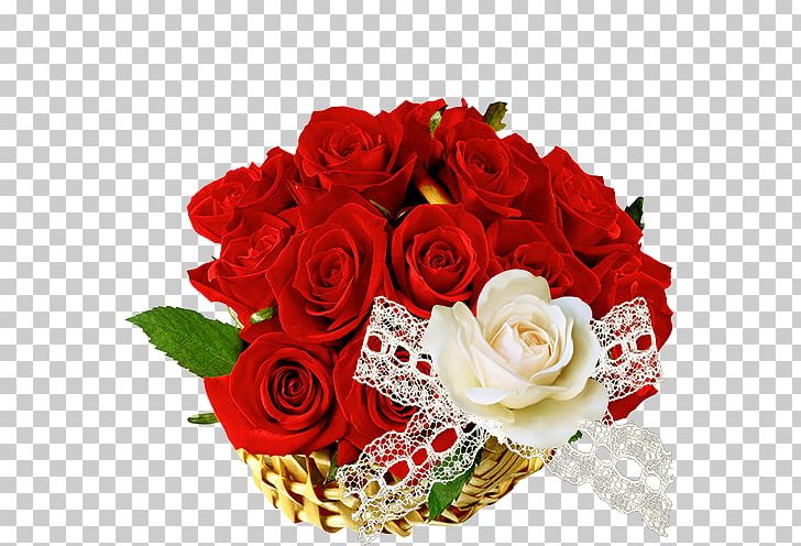 Rose WhatsApp Hindi PNG, Clipart, Clip Art, Cut Flowers, Desktop Wallpaper, Floral Design, Floristry Free PNG Download