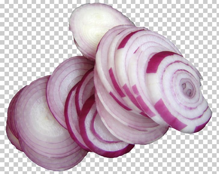 Shallot Scallion Icon PNG, Clipart, Computer Icons, Download, Food, Icon, Ingredient Free PNG Download