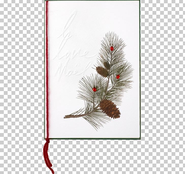 Tree Conifers Twig Plant Christmas Ornament PNG, Clipart, Branch, Branching, Christmas, Christmas Ornament, Conifer Free PNG Download