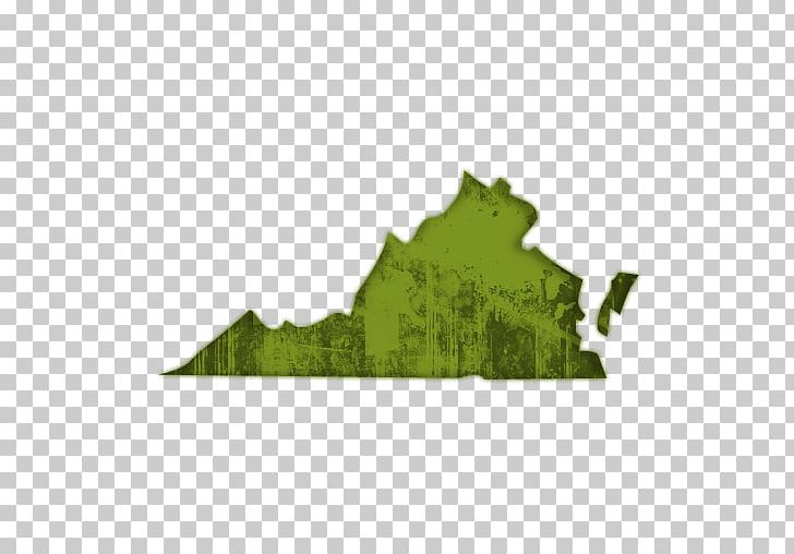 Virginia Topographic Map Elevation Road Map PNG, Clipart, Electoral District, Elevation, Grass, Green, Image Map Free PNG Download