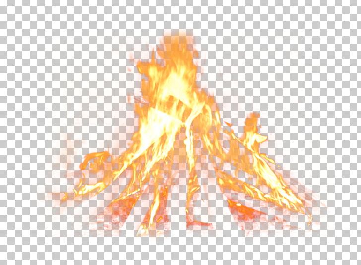 Chambal Garden Flame Fire PNG, Clipart, Bonfire, Chambal Garden, Combustion, Computer Graphics, Cool Flame Free PNG Download
