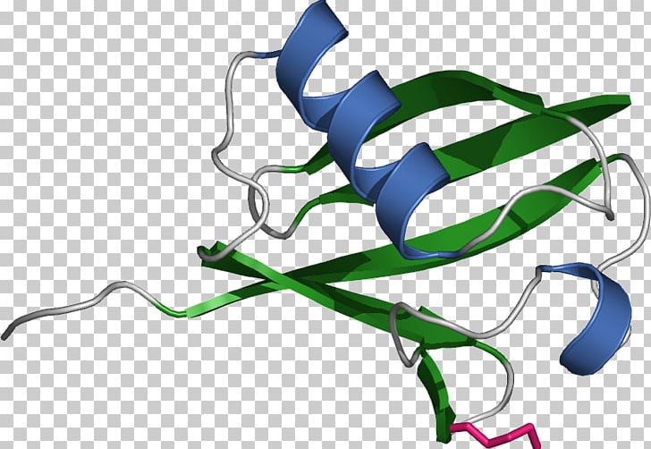 Ubiquitination Protein Histone Proteasome PNG, Clipart, Amino Acid, Branch, Cell, Cell Cycle, Chemistry Free PNG Download