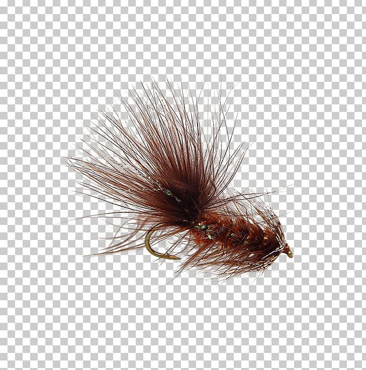 Bugger Fly Insect Holly Flies Gin PNG, Clipart, Artificial Fly, Bugger, Email, Fly, Gin Free PNG Download