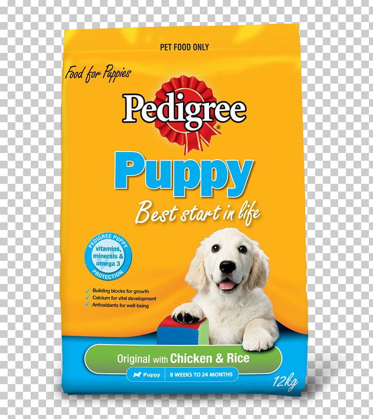 Dog Household Puppy Family PNG, Clipart, Animal, Animals, Canidae, Detergent, Dog Free PNG Download