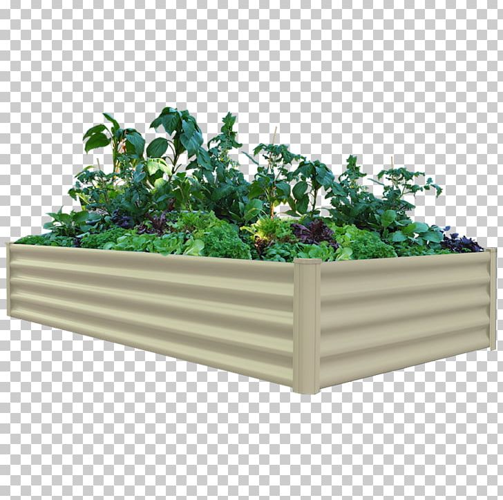 Organic Food Raised Bed Gardening Garden Organic Green Wall Png