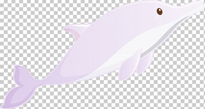 Cetacea Dolphin Pink Fin Fish PNG, Clipart, Blue Whale, Bottlenose Dolphin, Cetacea, Common Dolphins, Dolphin Free PNG Download