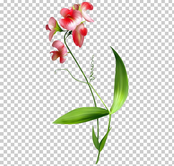 Flower Blume PNG, Clipart, Blog, Blume, Bud, Cut Flowers, Flora Free PNG Download