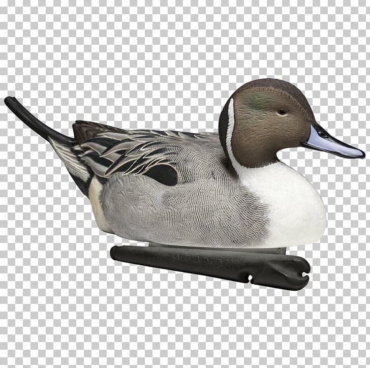 Mallard Duck Decoy Duck Decoy Goose PNG, Clipart, Animals, Anseriformes, Beak, Bird, Canada Goose Free PNG Download