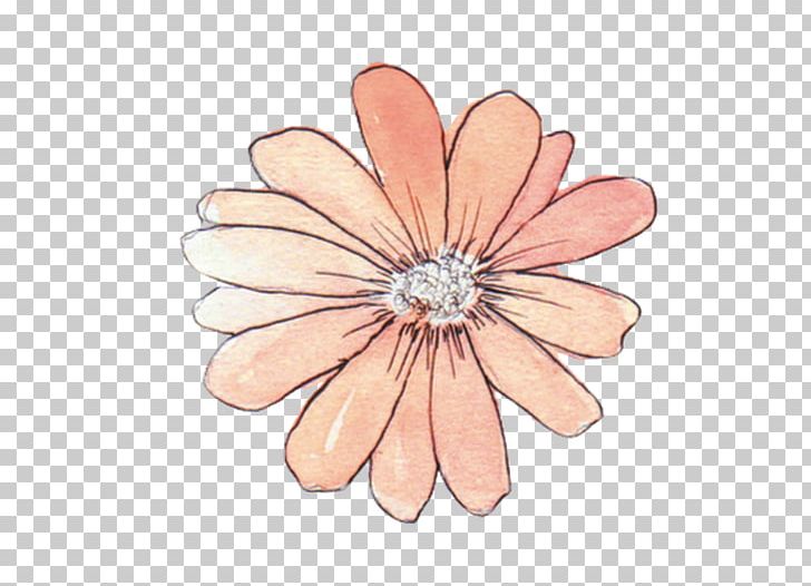 Paper Drawing Flower Watercolor Painting Sticker PNG, Clipart, Art, Bag, Body Jewelry, Brightness, Business Free PNG Download