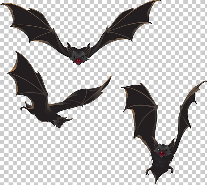 Bat Halloween PNG, Clipart, Adobe Illustrator, Art, Bat, Bats, Bat Vector Free PNG Download