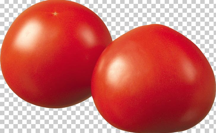 Plum Tomato Bush Tomato Food PNG, Clipart, Bush Tomato, Carbs, Cranberry, Fitgirls, Food Free PNG Download