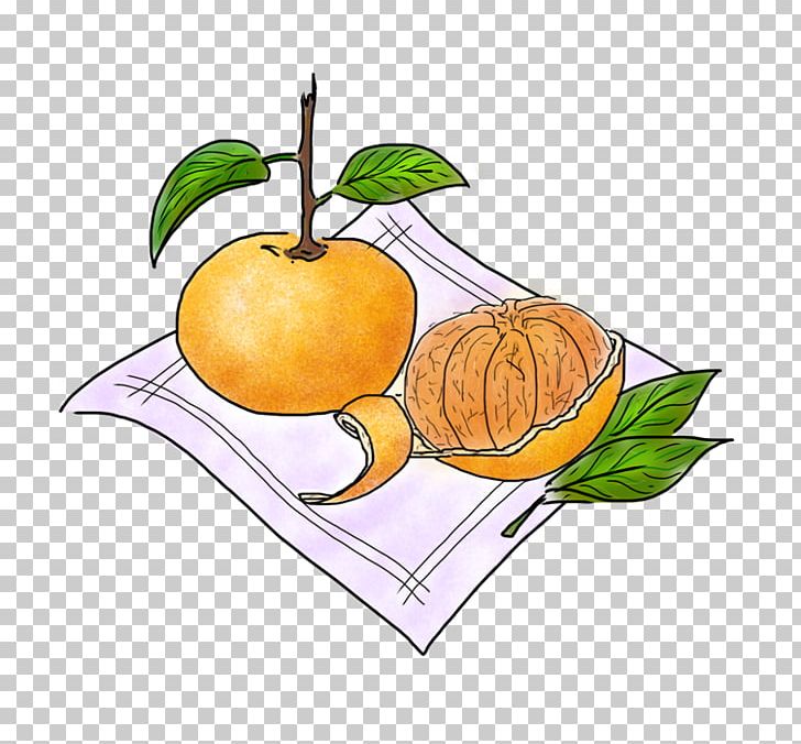 Vegetarian Cuisine Food Balsamic Vinegar Apple Fruit PNG, Clipart, Apple, Artwork, Balsamic Vinegar, Blood Orange, Citrus Free PNG Download